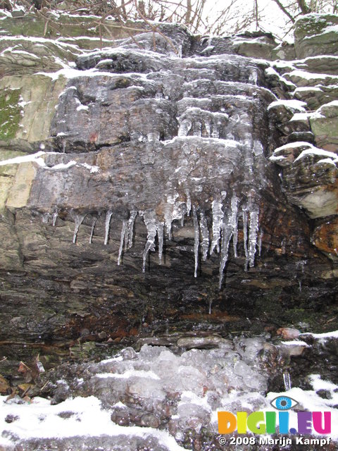 SX02118 Icicles on little stream